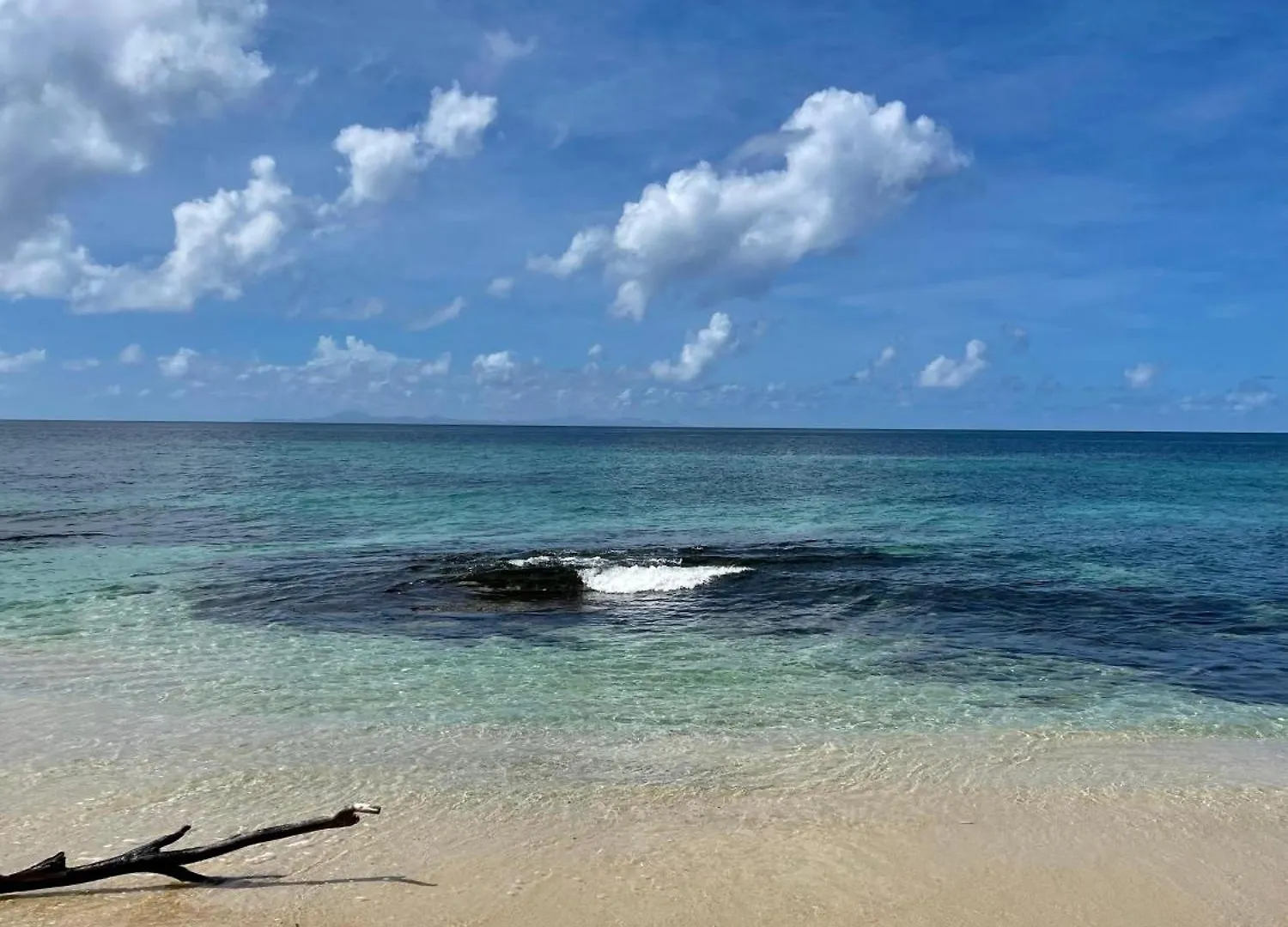 Lejlighed Petit Soleil Ste Luce - Appart T2 A 7 Mins De La Plage A Pied Sainte-Luce